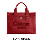 Coach Handbags