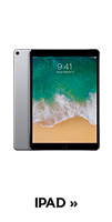 Apple iPad
