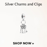 Pandora Silver Charms and Clips