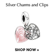 Pandora Silver Charms and Clips