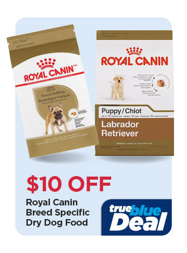 Royal Canin