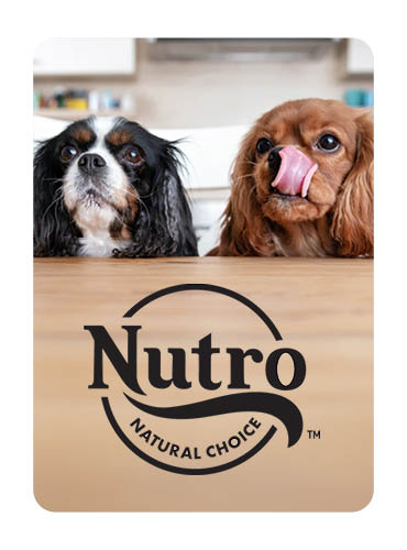 Nutro
