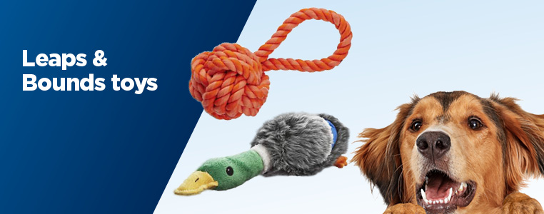 Toys by Leaps & Bounds