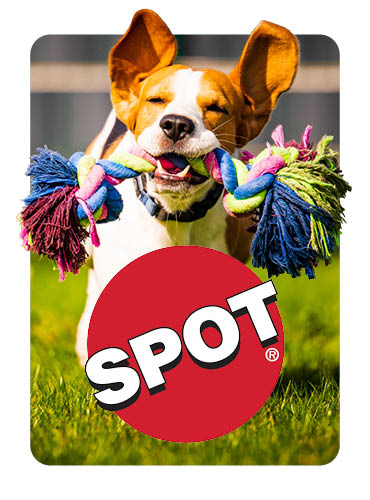 Spot