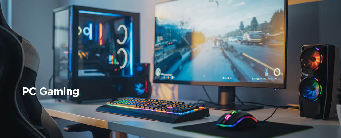 PC Gaming