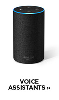 Voice Assistants