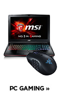 PC Gaming