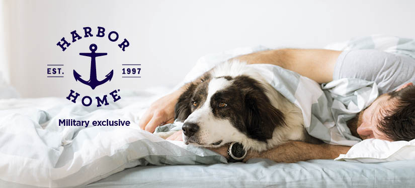 Harbor Home mattress