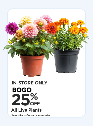BOGO 25% off All Live Plants