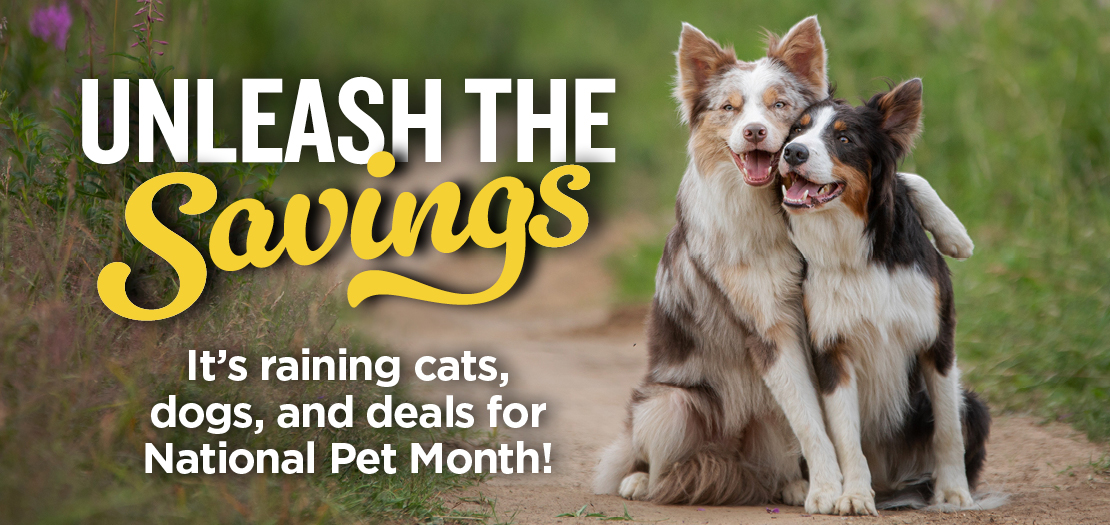NATIONAL PET MONTH