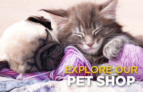 Explore Our Pet Shop