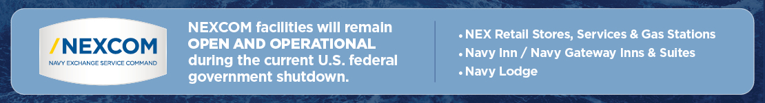 Government Shutdown