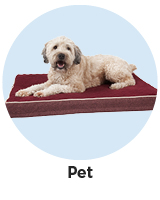 Pet