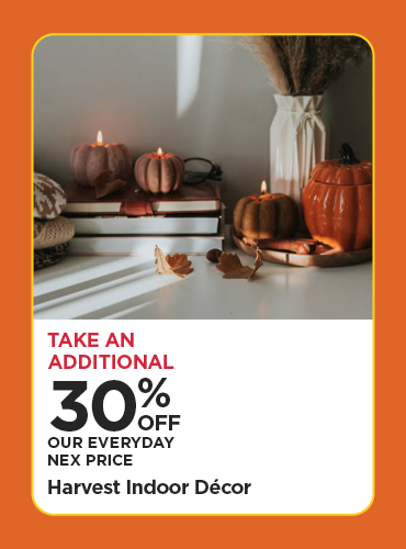Take An Additional 30% Off Our Everyday NEX Price Harvest Indoor Décor