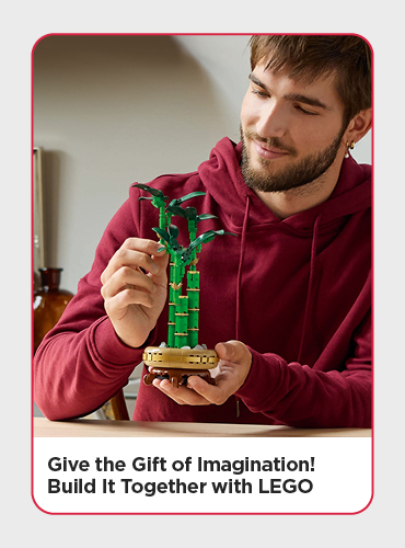 The Gift of Imagination. Build It Together with LEGO
