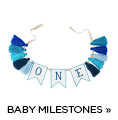 Baby Milestones