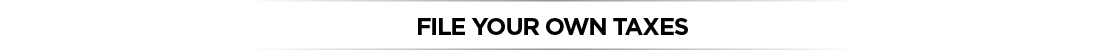 File your own taxes