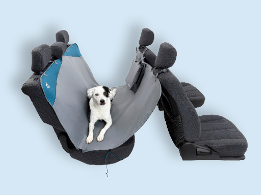 Pet Travel