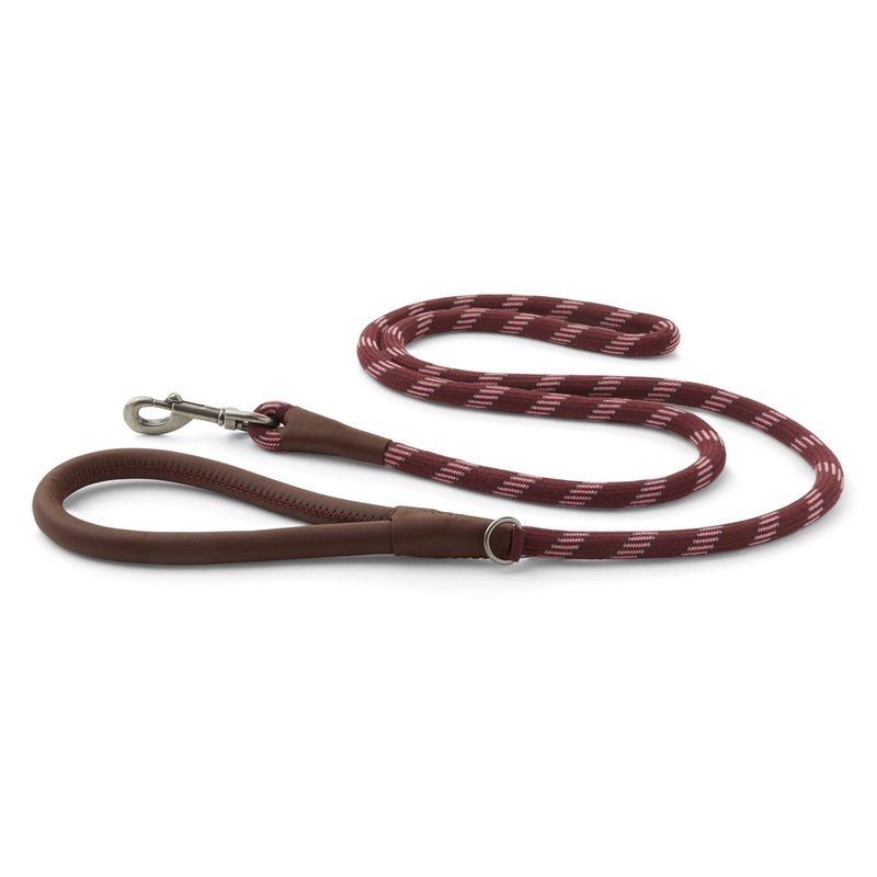 slip leash petco