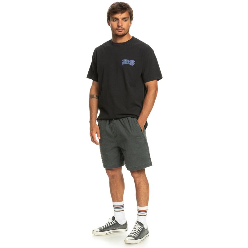 Quicksilver elastic sale waist shorts