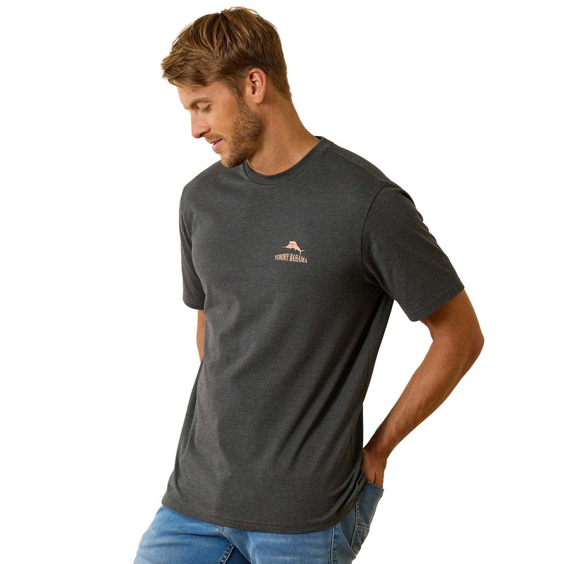 Tommy bahama 2025 tees