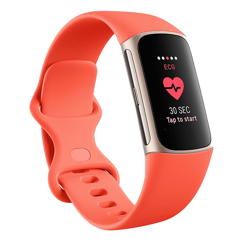 Fitbit Charge 6 | Smartwatches | Accessories - Shop Your Navy