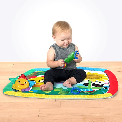baby einstein caterpillar and friends play activity gym