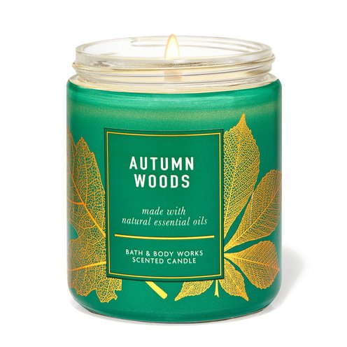 Bath Body Works Fresh Air Color Single Wick Candle Autumn Woods