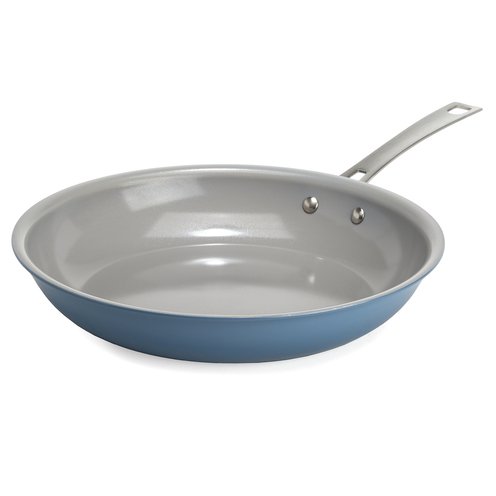 9.5 Inch Ecolution Pan With Lid