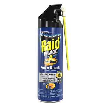 Raid Ant and Roach Killer Aerosol Can