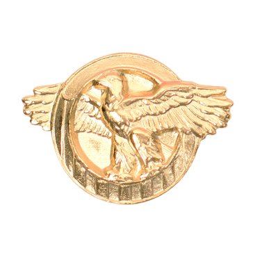 Lapel Pin WWII Honorable Discharge Ruptured Duck in Circle Satin Gold
