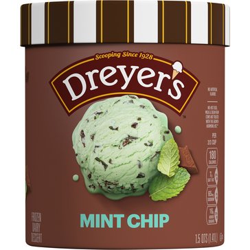 Dreyers Rich & Creamy Grand Mint Chocolate Chip Ice Cream, 48oz