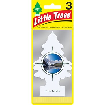 Little Trees True North Air Freshener, 3-Pack