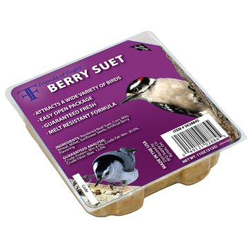Heath Outdoor Products Berry Blast Suet Cake, 11.25 oz