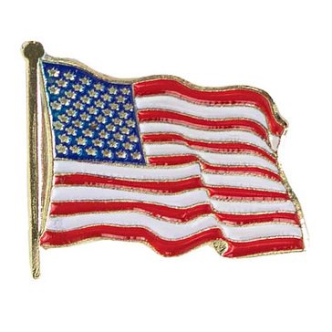 USMC Lapel Pin USA Flag Enamel Wavy 