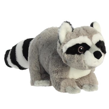 Aurora Eco Nation 9.5