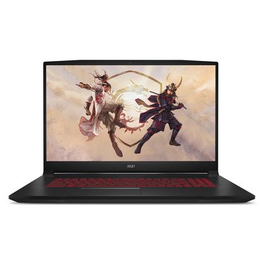 MSI 17.3