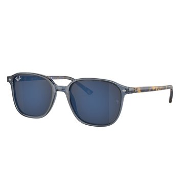 Ray-Ban Unisex Leonard Sunglasses