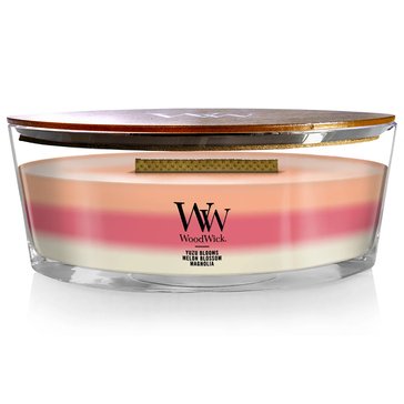 Woodwick Blooming Orchard Trilogy Ellipse Candle