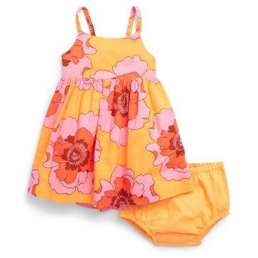 Gap Baby Girls' Bloom Floral Dress