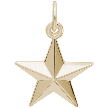 Rembrandt Charms Star Charm