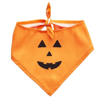 Bootique Pumpkin Bandana Pet Costume