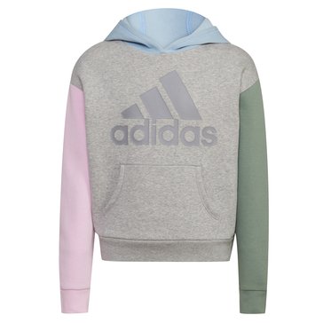 Adidas Big Girls Colorblock Fleece Hoodie