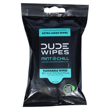 Dude Wipes Flushable Wipes, Mint Chill