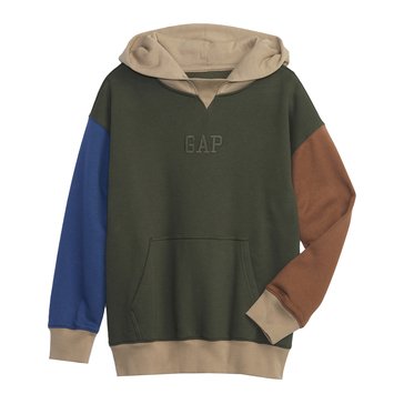 Gap Big Boys' Fashion Arch Hoodie