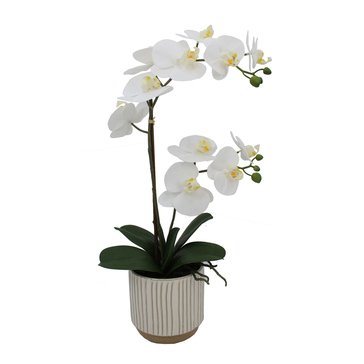 Elements Plants Faux Orchid in White Pot