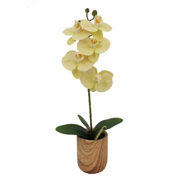Elements Plants Faux Orchid in Wood Pot