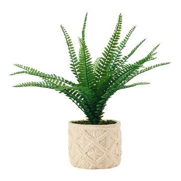 Elements Plants Artificial Fern in Macrame Pattern Pot