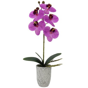 Mikasa Faux Orchid in Embossed Leaf Cement Pot