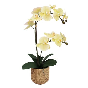 Mikasa Double Branch Faux Orchid in Wood Pot